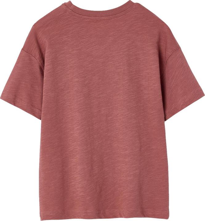 Actual product image Vertbaudet Jungen T-Shirt mit Naturmotiv, Recycling-Baumwolle (110)