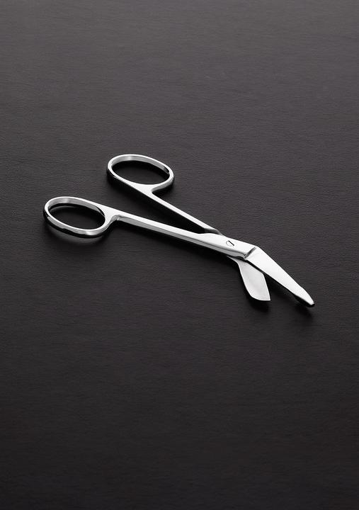 Actual product image Steel Scissors