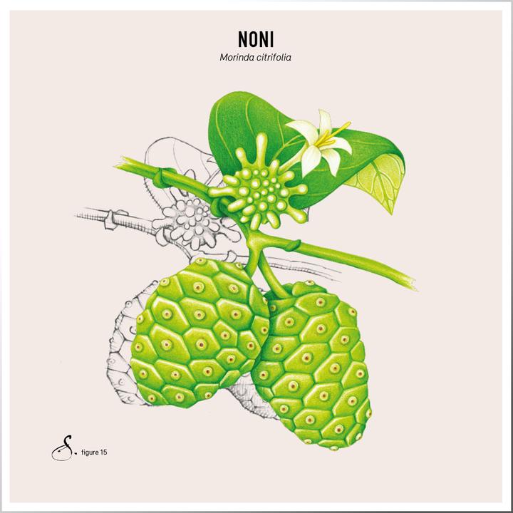 Produktbild Sekoya Noni | Extrakt aus Noni-Saft (90 Stück, Kapseln)