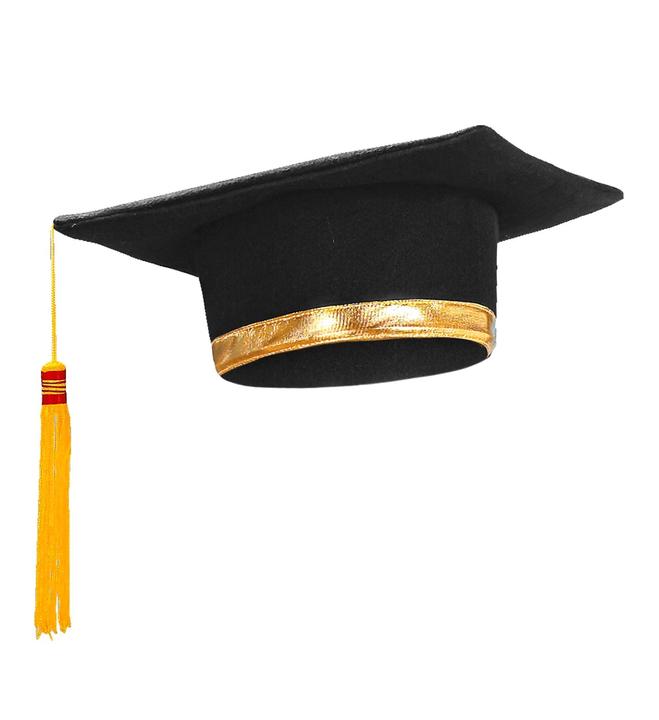 Actual product image Widmann Doctoral Thesis University Graduate Graduation Hat Deluxe with Gold