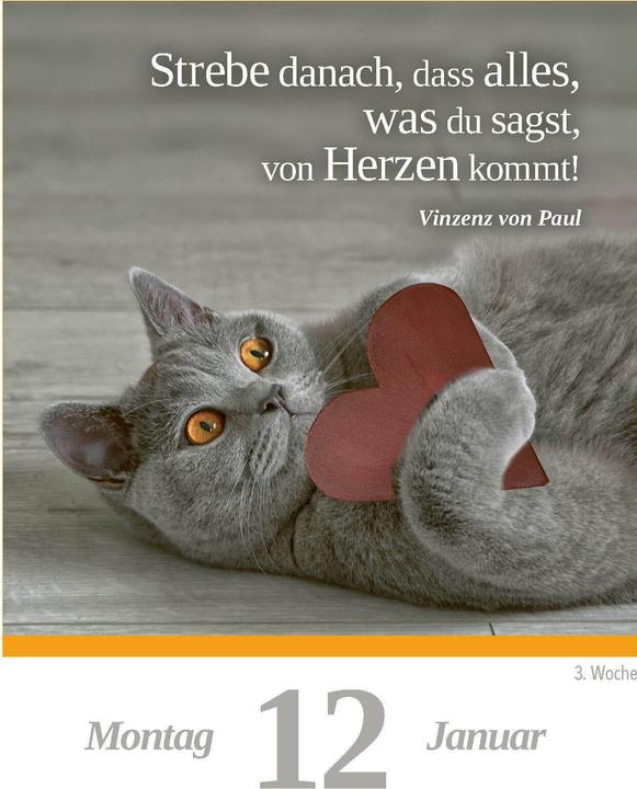 Produktbild Eine Katze für jeden Tag 2026 - Tagesabreisskalender zum Aufstellen oder Aufhängen (11 x 15 cm, Deutsch)
