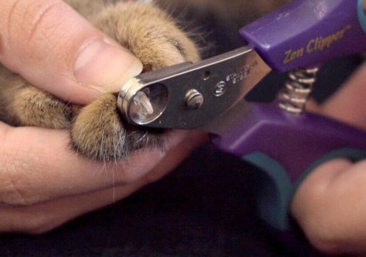 Image du produit Zen Clipper Cisaille à griffes (Chien, Chat)