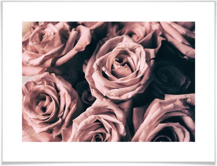Produktbild Trenddeko Rosa Rosen im Vintagestil (30 x 24 cm)