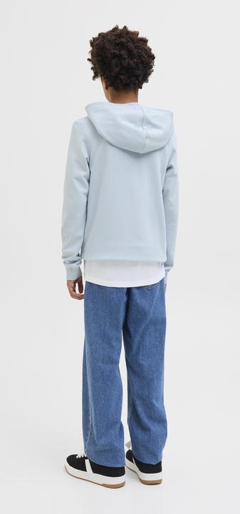 Actual product image Jack & Jones Jcologan Ss24 Print Sweat Hood Sn Jnr (164)
