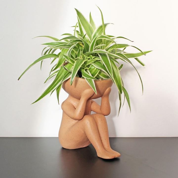 Actual product image Winkee Plants in my head Plant Pot