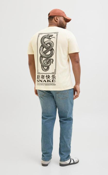 Actual product image Jack & Jones Plus Size Rückenprint T-shirt T-shirt (4XL)