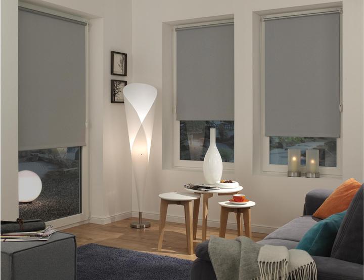 Actual product image Gardinia Easyfix Thermo (60 x 150 cm)