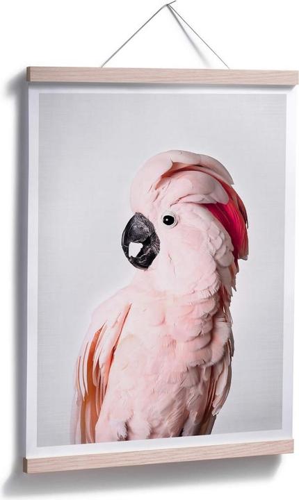 Produktbild Trenddeko Rosa Kakadu (30 x 40 cm)