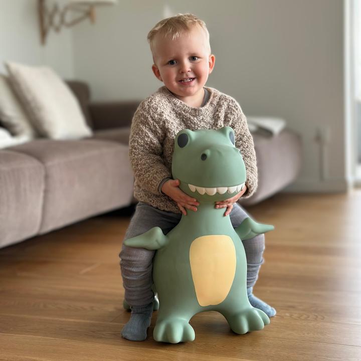 Image du produit Find That Hippo Hüpftier Dexter Dino