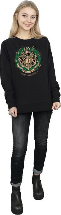 Actual product image Womens/Ladies Christmas Wreath Sweatshirt (L)