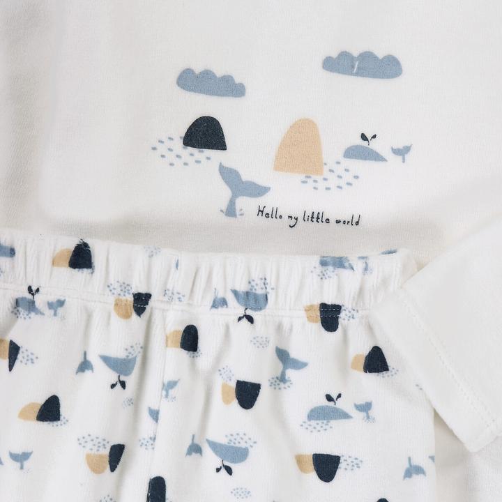 Produktbild La Redoute Collections 2er-Pack Samt-Pyjamas mit Walmotiven (86)