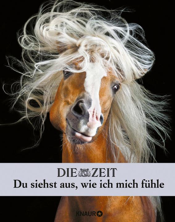 Actual product image Die Zeit. Du siehst aus, wie ich mich fühle (German, Malin Schulz, 2020)