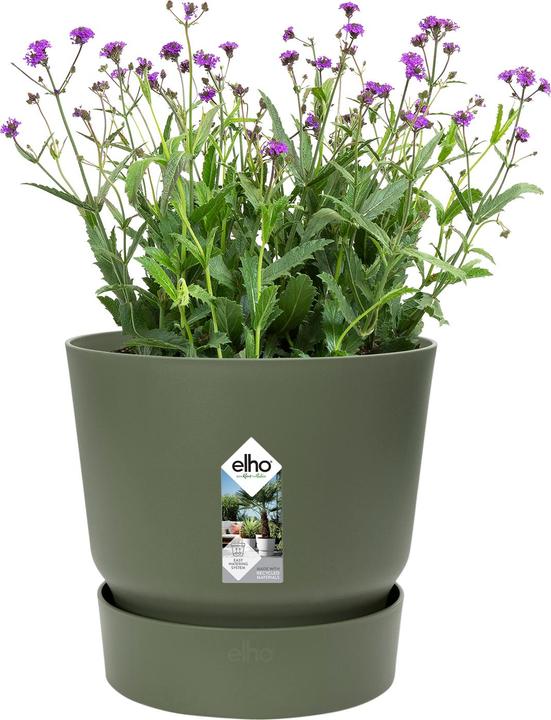 Produktbild Elho Greenville (14 cm)