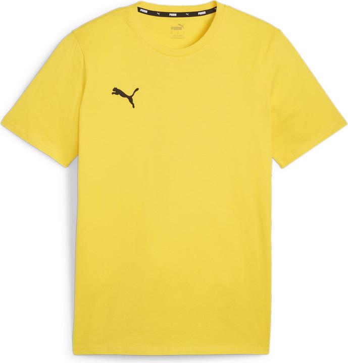 Puma teamGOAL Casuals Tee