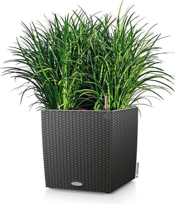 Produktbild Lechuza Cube Cottage (29.50 cm)