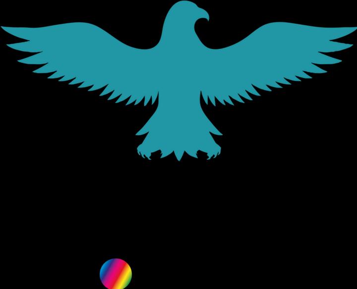 Immagine prodotto Bügelbilder Bügelbild Adler Silhouette