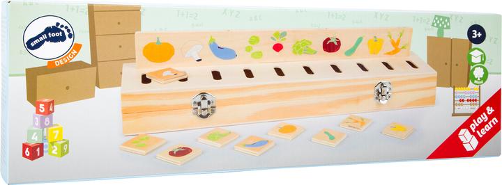 Actual product image small foot Educate picture sorting box