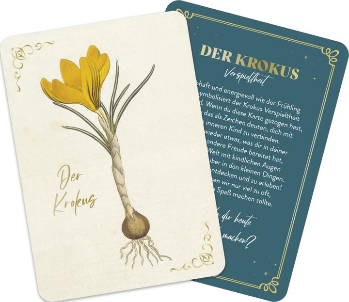 Image du produit Die geheimnisvolle Sprache der Blumen - 50 Orakelkarten für das ganze Jahr (Allemand, Maison d'édition Groh, 2024)