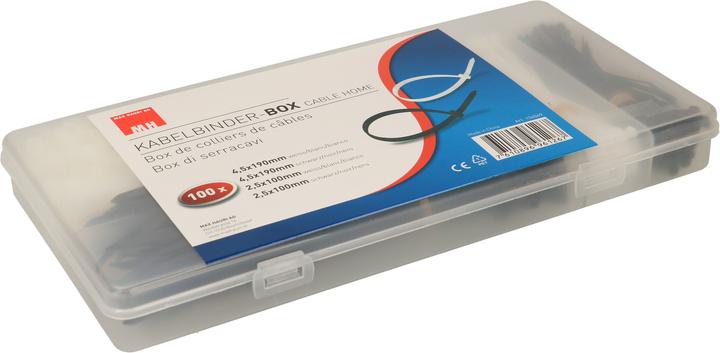 Actual product image Max Hauri Cable tie case (Plastic cable ties, 300 mm, 1 pcs.)