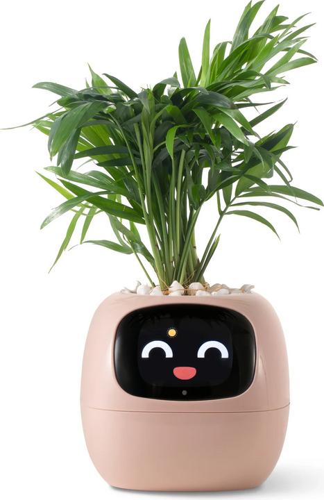Plantsio Ivy Smart Planter