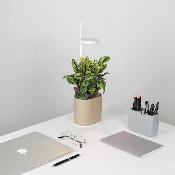 Produktbild Prêt à Pousser Kräutertopf Nano, Sand Grey (13.50 cm)