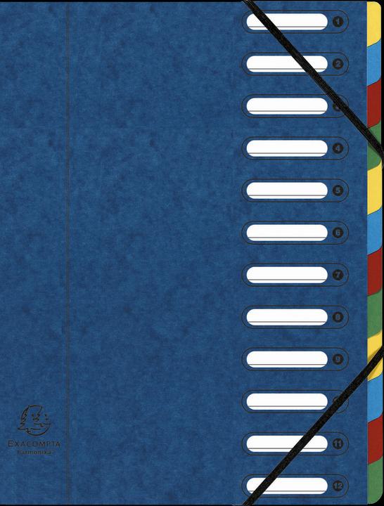 Actual product image Exacompta HARMONIKA - A4 file folders (A4, 1 x)