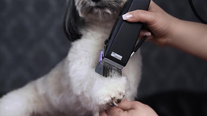 Image du produit Moser Tondeuse à cheveux pour chiens (Chien, Chat)