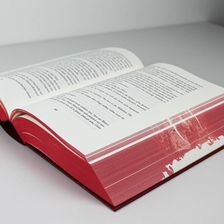 Image du produit Crescent City 1 – Wenn das Dunkel erwacht (Allemand, Sarah J. Meuse, 2020)