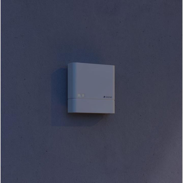 Actual product image Steinel Twilight switch