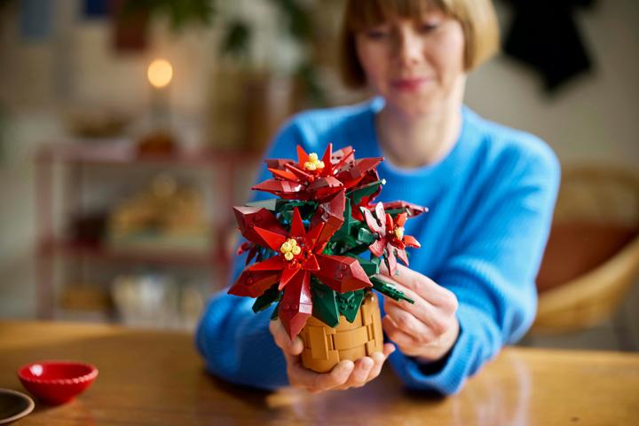 Actual product image LEGO Poinsettia (10370, LEGO Icons)