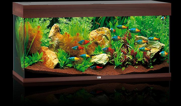Produktbild Juwel Aquarium Rio (180 l)
