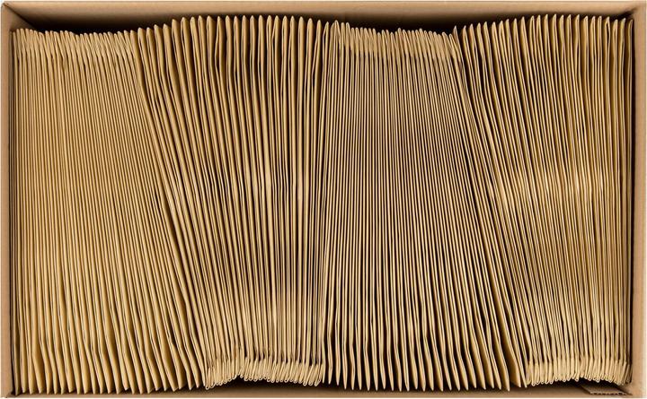 Produktbild Antalis Luftpolstertasche gepolstert aus Papier C4, 100 Stück (100 x)