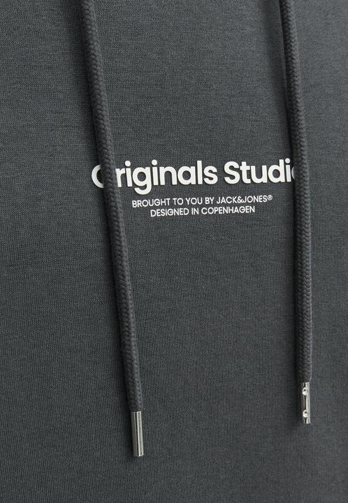 Actual product image Jack & Jones Sweat Hoodie (XXL)