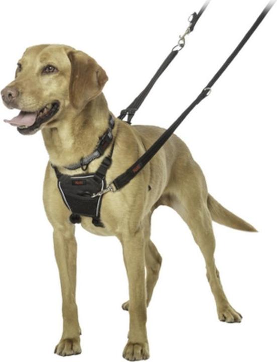 Immagine prodotto Halti Pettorina anti-trazione per cani (M, Cane, Generale)