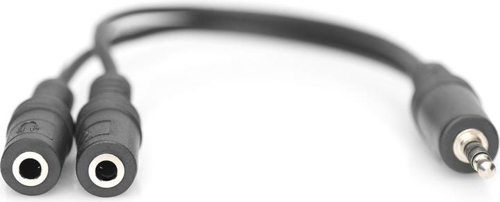 Image du produit Digitus Câble adaptateur pour casque d'écoute TRRS (Adaptateur de casque)