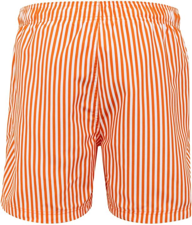 Actual product image Regatta Mens Loras Stripe Swim Shorts (XL)