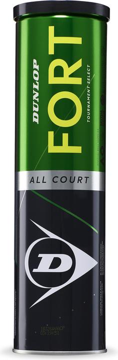 Fort All Court