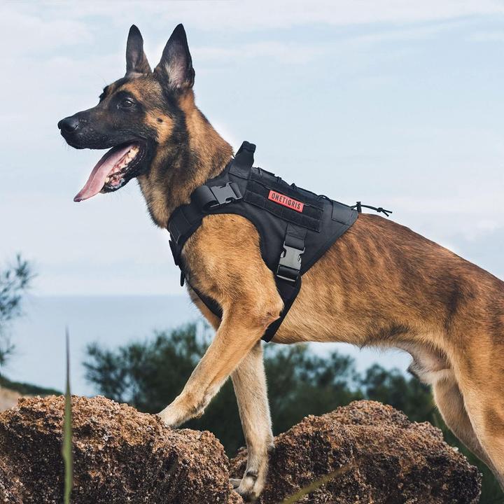 Image du produit OneTigris Harnais pour chien FIRE Watcher (Chien)