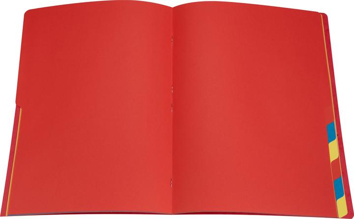 Image du produit Biella TOP COLOR - Classeur à anneaux 12 pcs. (A4, 1 x)