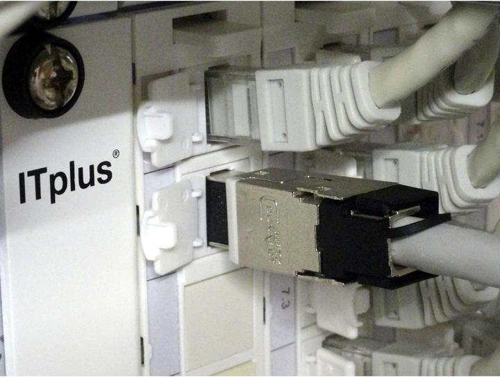 Actual product image Elbro RJ-45 connector (Network cable plug)