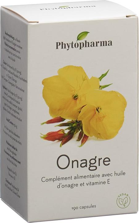 Actual product image Phytopharma Evening primrose capsule 500 mg (190 Piece, Capsules, 95 g)