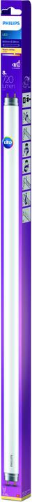 Produktbild Philips LED Leuchtstoffröhre (G13, 8 W, 720 lm, 1 x, E)