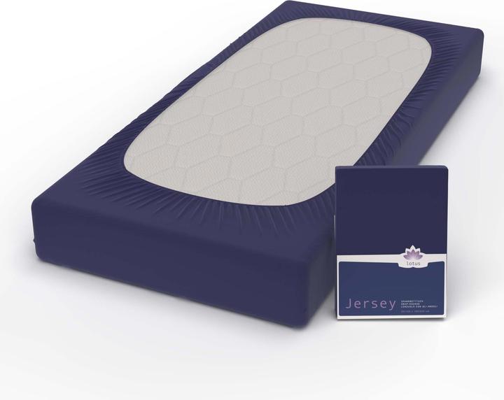 Image du produit Lotus Bettwaren Jersey Fix Comfort (120 x 200 cm)