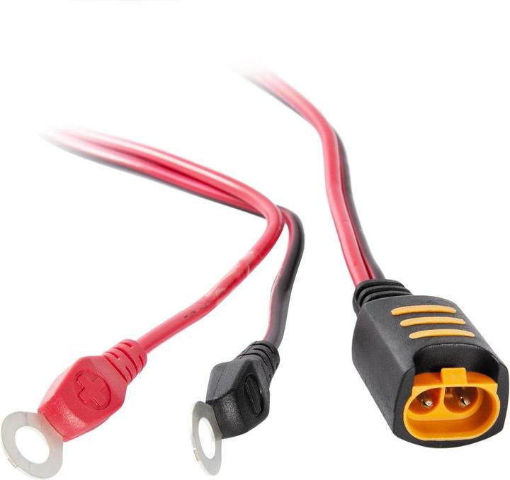 Actual product image Ctek Comfort Connect Eyelet M8