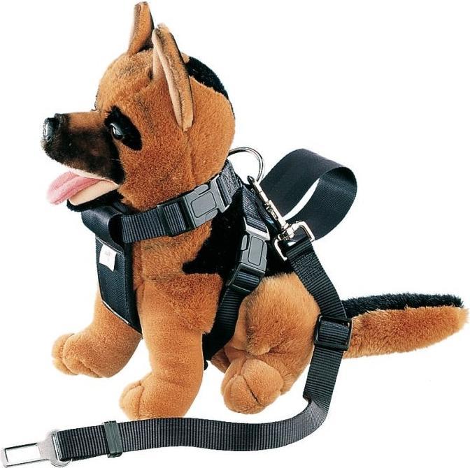 Nobby Harness incl. safety belt (S, Dog, General)