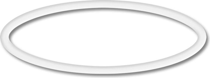 Actual product image SunSun Spare Part: CLP-16000 MaxEco Pond Pump O-Ring 2