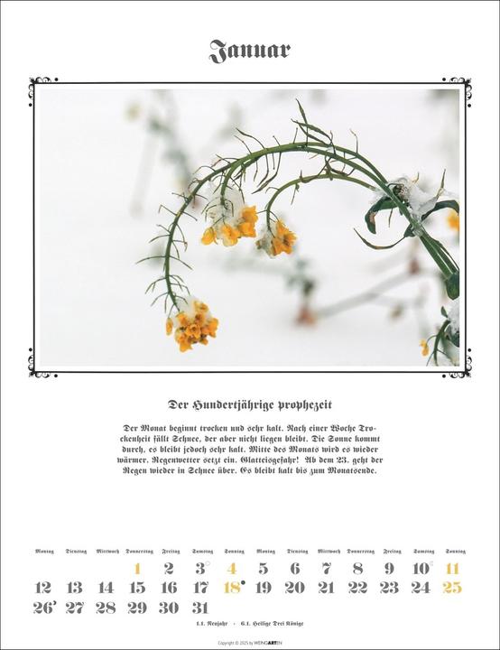 Actual product image Der Hundertjährige Kalender 2026 (30 x 39 cm, German)