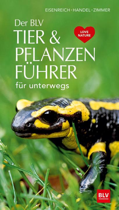 Produktbild Der Tier & Pflanzenführer (Deutsch, Ute E. Zimmer, Wilhelm Eisenreich, Alfred Handel, 2018)