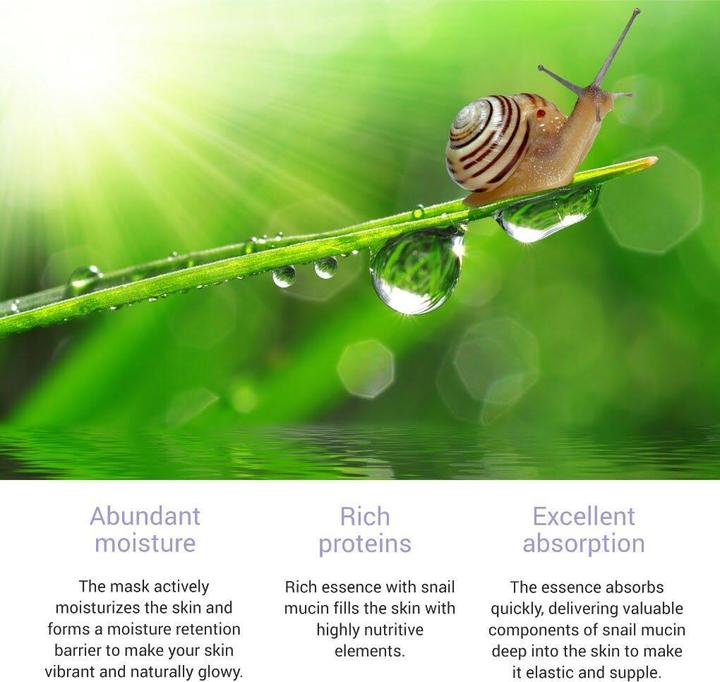 Produktbild Skinsomnia Snail Real Essence Mask (25 ml)
