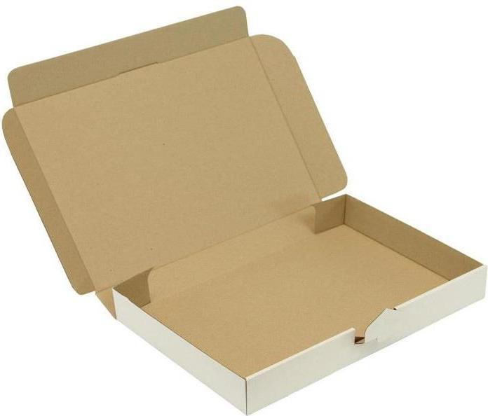 Transpak Hinged box 1-wall dimensions 338x230x42mm C4 1.2E white push-in seal white (100 x)